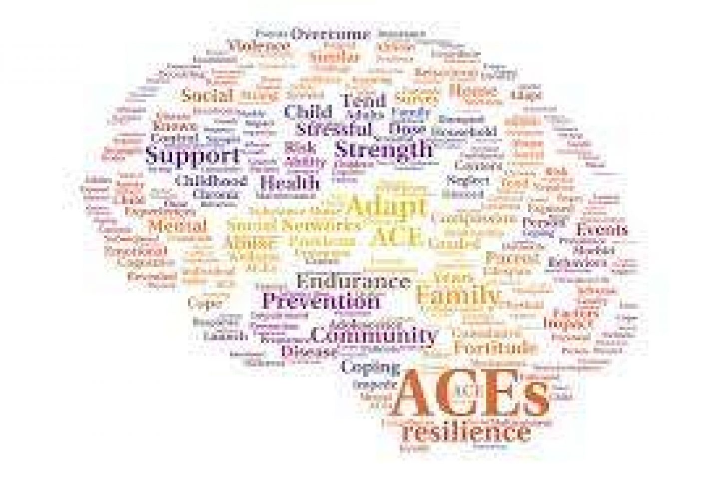 Child Maltreatment Solutions Network at Penn State