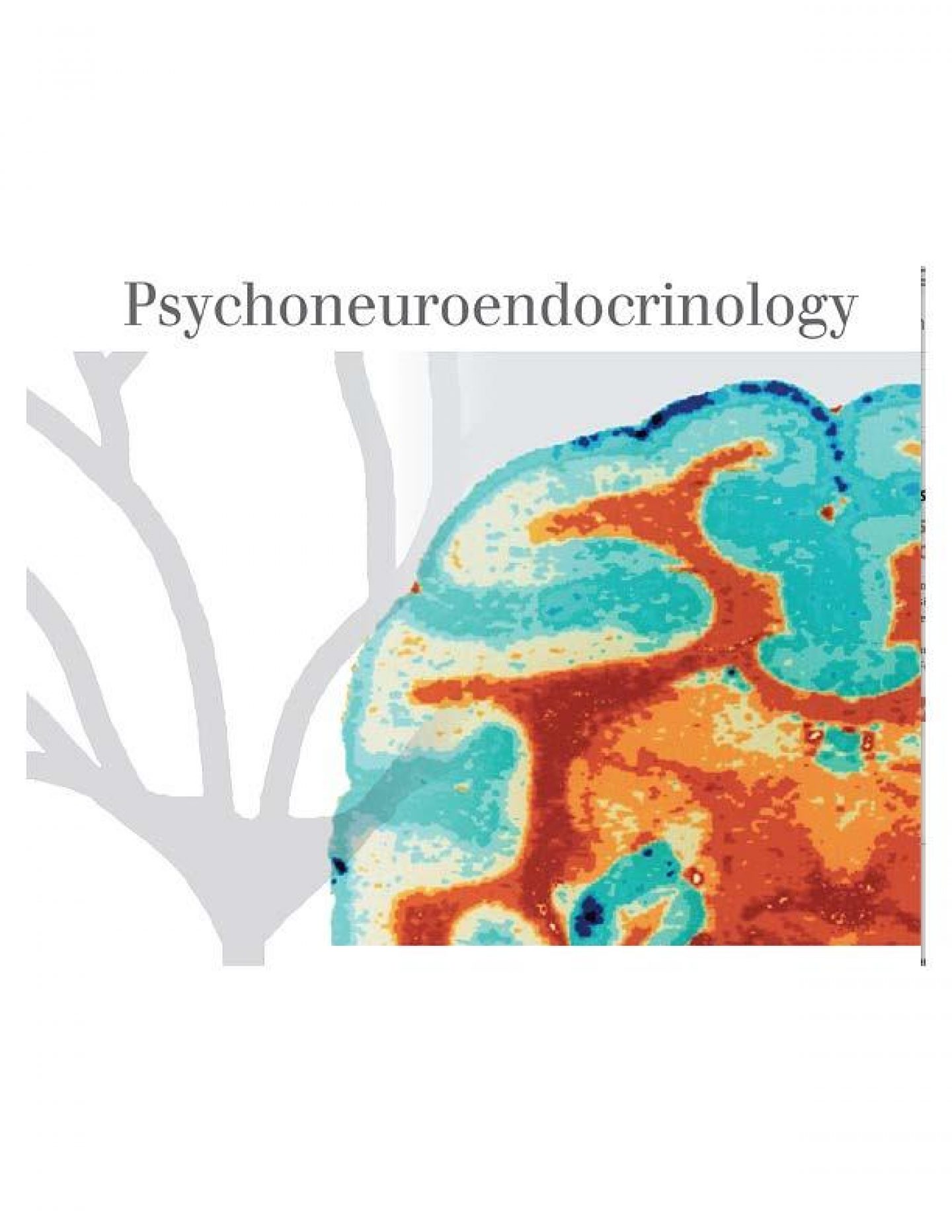 Child Maltreatment Solutions Network at Penn State