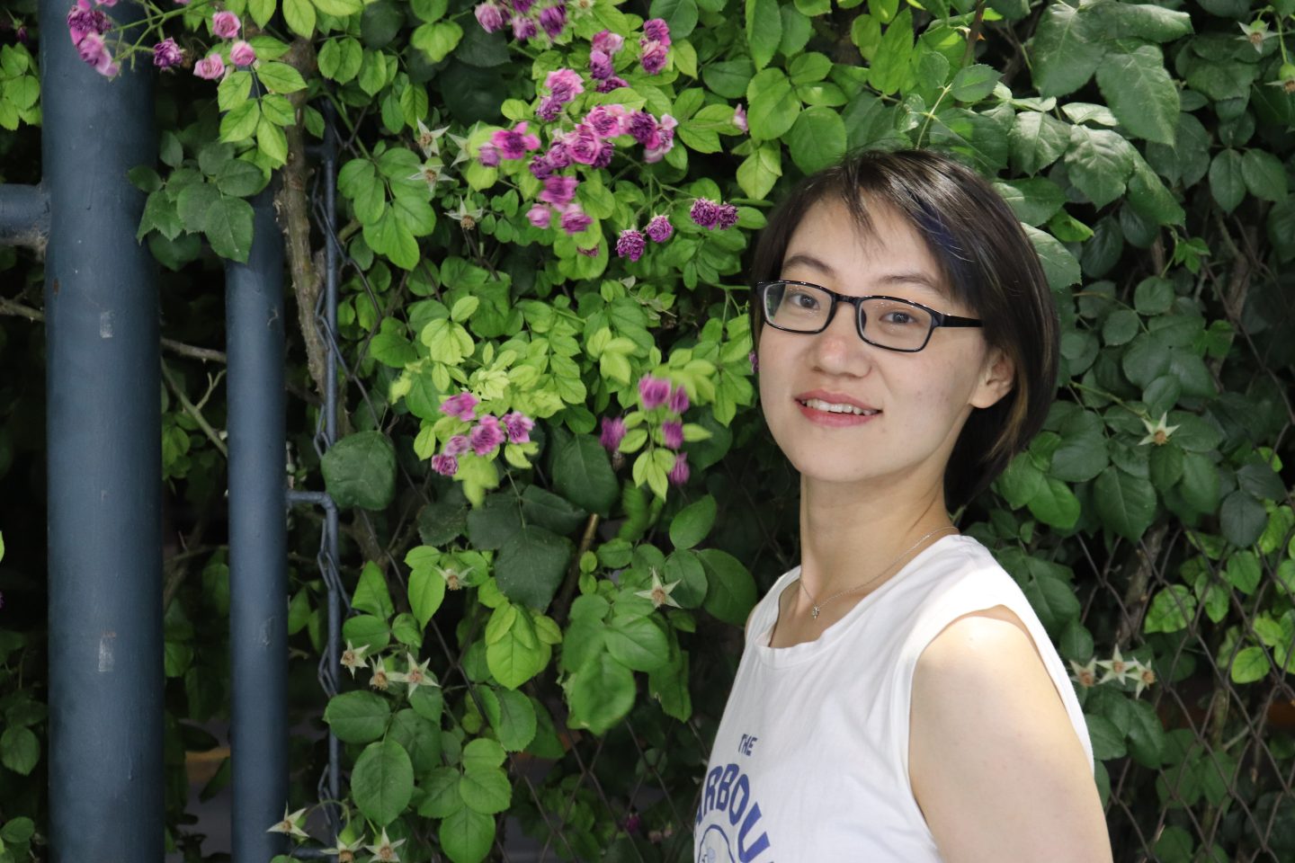 Profile photo for Jianging Sun