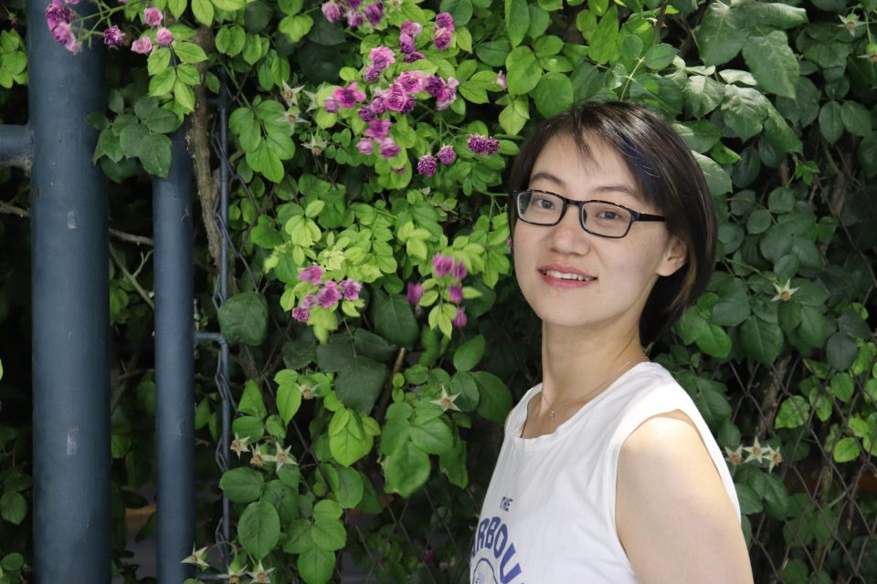 Profile photo for Jianging Sun